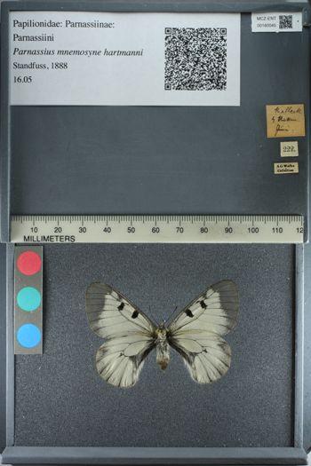 Media type: image;   Entomology 180045
